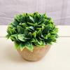 Mini planta de cactus en maceta de estilo nórdico, carnosa, pequeña, de simulación, verde, decorativa, de escritorio