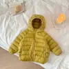 Chaqueta Ligera de Algodón con Relleno para Niños Niños y Niñas Abrigo de Algodón Niños Pequeños y Medianos Ropa de Algodón con Capucha Bebé Otoño e Invierno Nueva Chaqueta de Canalé