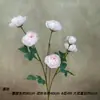 Arreglo Floral de Boda Flor de Rosa de Té de Cabeza Múltiple en Rama Larga Decoración Muebles para el Hogar Flores Artificiales Flor Fresca de Té de Cabeza Múltiple Comercio Exterior Transfronterizo