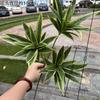 Nuevo fabricante de plantas verdes artificiales, lirio, bambú, hoja de baniano, hoja de rosa, hoja rica, camino de boda, flores falsas, fábrica al por mayor