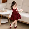 Vestido Infantil Primavera e Outono 2025 Nova Moda Vestido Princesa Infantil Vestido de Primeiro Aniversário para Bebê Conjunto de Duas Peças