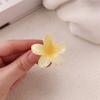 Grampo de Cabelo Estilo Zhao Lusi, Presilha de Frangipani Estilo Verão, Grampo de Cabelo para Praia, Presilha de Tubarão para Cabelo na Parte de Trás da Cabeça