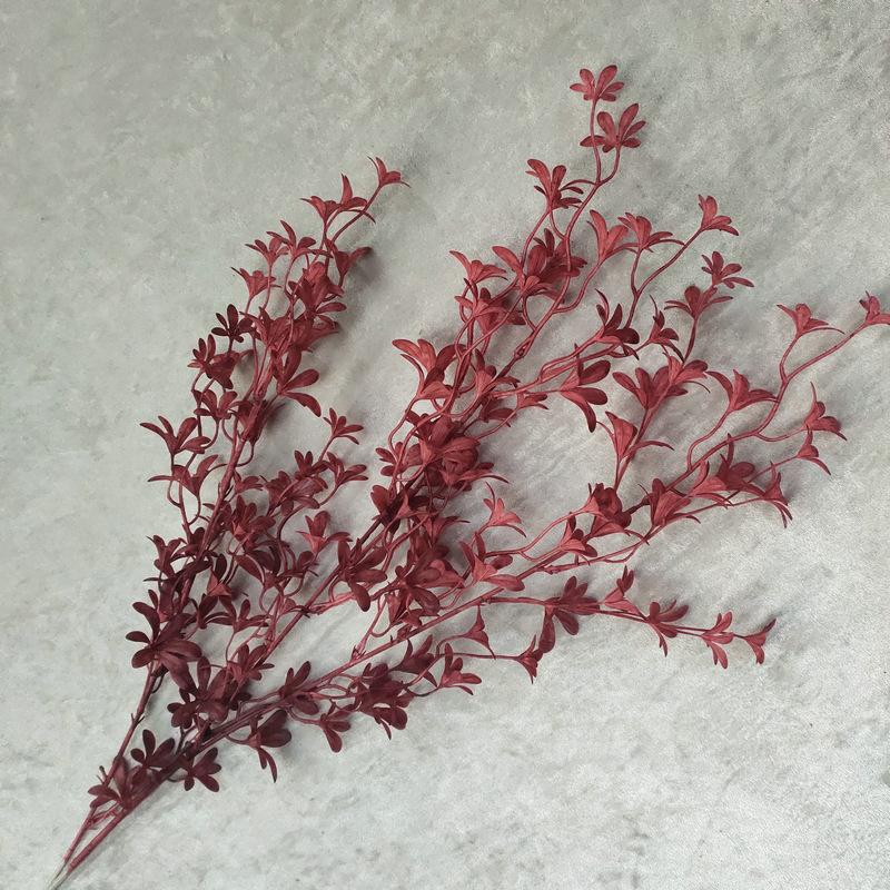 1号秋红色