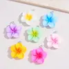 Pendente de Frangipani de Resina Mais Vendido Transfronteiriço Acessórios de Joias Artesanais DIY Colar Chaveiro Pingente de Decoração para Bolsa