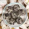 Venta al por mayor 2024 Té Pu-Erh Crudo, Té Blanco Moonlight, Hojas Pequeñas de Té Pu-Erh Perla de Dragón, Aroma Floral a Miel, Pu-Erh Crudo Dulce y con Cuerpo Completo