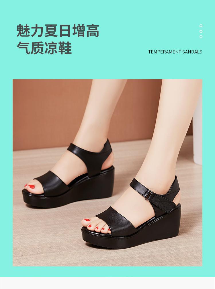 详情_03.jpg