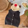 Chaleco de Punto con Capucha 3D de Manzana para Niños, Chaleco sin Mangas de Punto Coreano para Bebé Primavera y Otoño, Cárdigan Infantil con Orejas de Oso