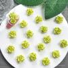 Nova Camélia de Cerâmica Macia Verde Joias para Nail Art Misturadas com Tie-dye Verde Material para Nail Art de Rosa Joias de Flor Macia