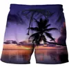 2023 Calções de Praia Transfronteiriços Costeiro Coqueiro Verão Amazon Tendência Casual Reto Estampado Calções Masculinos