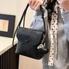 Bolsa de Ombro Moda Estilo Coreano Feminina 2025 Nova Primavera Simples Casual Bolsa Texturizada Personalizada Bolsa Transversal Bolsa Saco