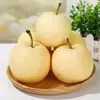 Peras Frescas Corona de Hebei 5kg Frutas de Temporada: Peras Pato, Peras de Nieve, Peras Dangshan, Peras Corona Verde, Caja Completa