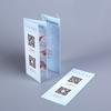 Folleto de Papel a3a4a5 Plegado con Páginas con -244.999999999% de Descuento Usando Instrucciones del Producto Impresión Colorida a Doble Cara