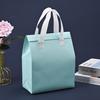 Bolsa Aislante para Llevar Personalizada de Tela No Tejida para Llevar Empaque para Llevar de Catering Bolsa Aislante de Papel Aluminio Personalizada Fábrica
