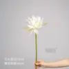 Flor única artificial de epiphyllum para decoração de corredor de casamento, arranjo floral para fotografia de fantasia, flor adereço de mão estilo antigo, flor artificial decorativa