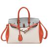 Tendência europeia e americana all-match bag 2023 personalizado contraste de cores grande capacidade tote bag nova moda senhoras bolsa de platina
