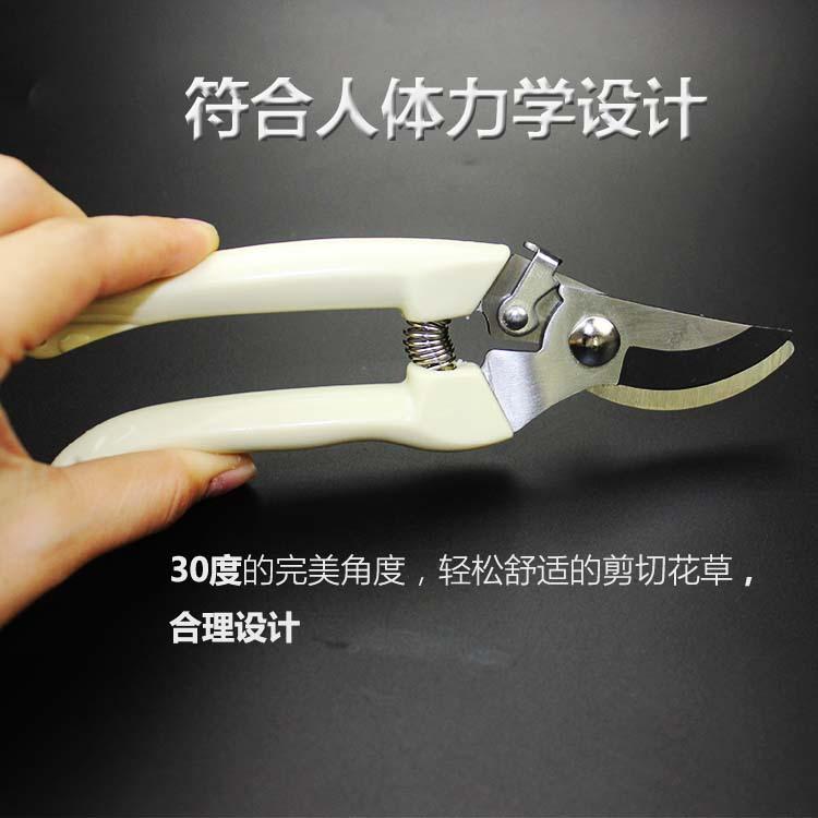 TB20CmMaNuGJuJjSZPiXXcqOpXa_!!