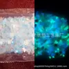 Lentejuelas de Cerámica Suave Multicolor Luminosas Joyas para Uñas Polvo Suelto Pegatinas Faciales Dyi Festival de Música Electrónica Pegatinas de Tatuaje Luminosas de Neón