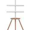 Soporte para TV de 45-65 pulgadas Soporte de arte para TV Soporte móvil de piso Soporte de TV de corcho