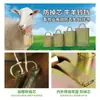 Sino de vaca reforçado núcleo de sino anti-queda sino de ovelha super alto galvanizado espessado extra alto anti-perda para uso em gado e ovelhas sino de ferro