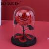 Flor Eterna de Yunnan Rosa El Principito Adorno de Cúpula de Cristal Regalo de San Valentín Suministro Directo del Fabricante Venta al por Mayor Transfronteriza Ramo