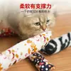 Juguetes para Gatos Juguetes Creativos para Masticar Gatos Menta Juguetes Divertidos para Gatos Suministros para Mascotas Juguetes Resistentes a Mordidas de Gato