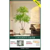 Planta em Vaso Nandina Domestica de Chão, Grande Decoração de Planta Verde Artificial para Interior, Decoração de Luxo Leve para Sala de Estar, Árvore Artificial