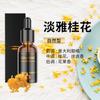 Car Aromatherapy Óleo Essencial Desodorante Vegetal Aromaterapia Óleo Essencial Óleo Essencial Solúvel em Água Umidificador Óleo Essencial