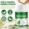 Venta Caliente Transfronteriza Cápsulas de Moringa Fábrica de Cápsulas de Moringa Venta al por Mayor Se Puede OEM