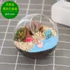 Atividade de AquecimentoKit de Materiais DIY Criativos para Micro-paisagem de Musgo Conjunto de Presente com Ornatos de Suculentas em Garrafa