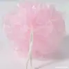 20g Pequeno Presente Aleatório para E-commerce Flor de Banho Bola de Banho Flor de Banho Esfoliante de Bucha Rede Espumante Atacado Limpeza Profunda