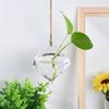 Florero de Vidrio Transparente Colgante Creativo Simple Hidropónico Botella Colgante Pequeña Jardinería Interior Decoración para el Hogar Botella Planta