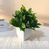 Maceta Cuadrada Transfronteriza Planta Verde Artificial Bonsái Plástico Planta Artificial Planta en Maceta Decorativa Decoración de Escritorio Sala de Estar Estudio