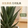 En stock Simulación Carnosa Garra de Águila Aloe Planta en Maceta Decoración de Escritorio Regalo Mini Planta Verde Bonsái TEMU Planta de Simulación