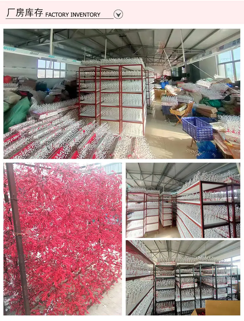 红果详情_09