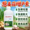 Cebolla Jengibre Ajo Factor de Incremento de Rendimiento Fertilizante Siembra de Hortalizas Hojas Gruesas Fertilizante Orgánico Hinchazón de Fruta Granulados Incrementadores de Rendimiento Fertilizante de Liberación Lenta Mayoreo