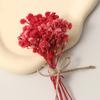 Flores Artificiais, Buquê de Flores Eternas Materiais DIY, Gypsophila, Miosótis, Flores Secas para Dedos, Atacado Transfronteiriço, Flores Feitas à Mão, Flores Falsas