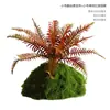 Musgo Sintético Decoración Suave para Interiores Conjunto de Micro-Paisajismo Combinación Ventana Pasillo Musgo Falso Planta Verde Decoración de Paisajismo Arreglo