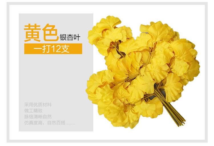 银杏叶详情_10.jpg