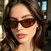 Gafas de sol retro estilo europeo y americano, de montura pequeña ovalada tipo ojo de gato, de moda y favorecedoras para rostros cuadrados y redondos, gafas de sol versátiles para mujer