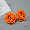 Rosa de Jamaica Simulada con Flor de Rosa Central Temporada de Graduación Sombrero de Licenciado Disfraz Guirnalda DIY Bonsái Accesorios para Fotografía