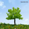 Sistema verde Árvore de bola ambiente árvore modelo árvore de arame modelo de árvore de arame mesa de areia modelo de planejamento árvore pequena paisagem simulação planta