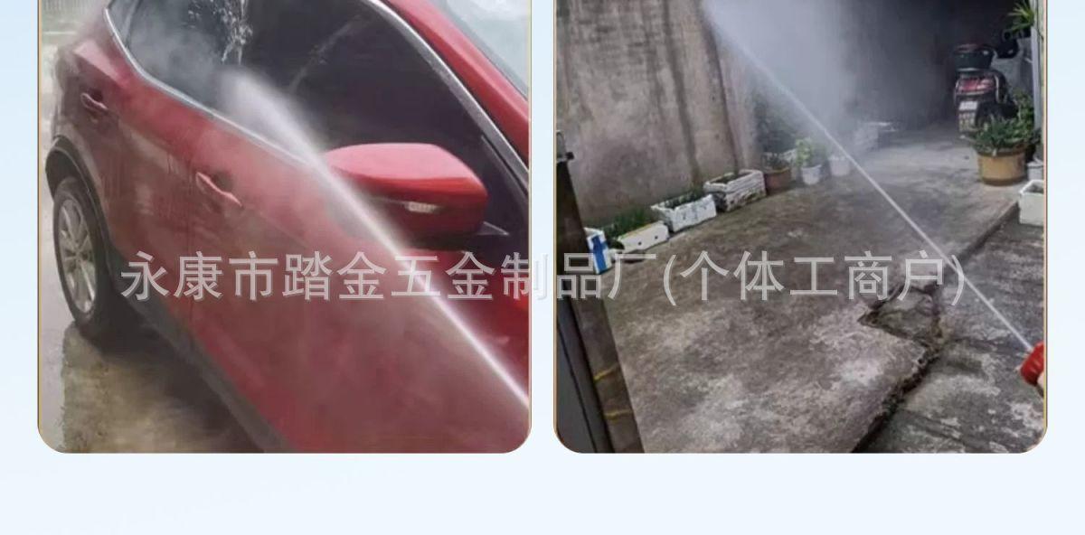 1723169258096--1422699883