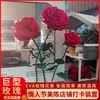 Arte de Papel Rosa Flores Artificiales Arreglos de Flores Falsas Ramilletes Decorativos Arreglos de Flores Gigantes Rosas Gigantes