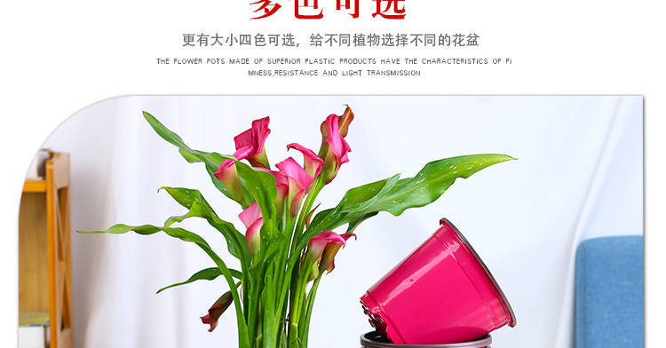 彩色花盆产品详情页12