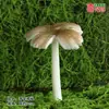 Modelo de Hongo Hongo Silvestre de Yunnan Espécimen Falso Adorno Decoración Escena Montaje Accesorios para Disparar Matsutake
