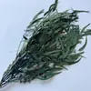 Folhas de Eucalipto de Folha Fina Absorvedoras de Cor de Yunnan, Flores Preservadas, Buquês de Flores Secas, Atacado de Fabricante de Yunnan Decoração de Casa
