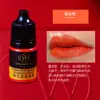 Amostra de Cor Bordado Wanjia 3ml Corante Vegetal para Sobrancelha, Olho e Lábio Não Muda de Cor Sistema de Cor Auxiliar Cor de Sobrancelha Cinza Escuro