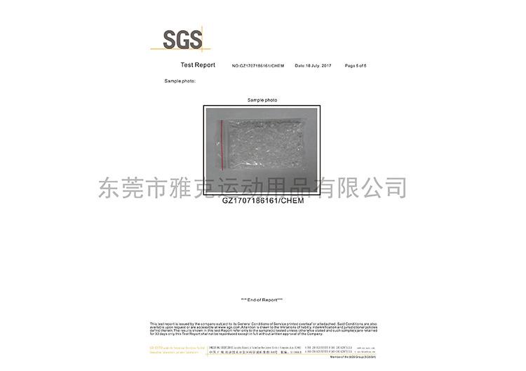 SGS-03.jpg