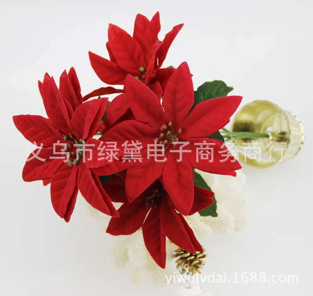 圣诞花