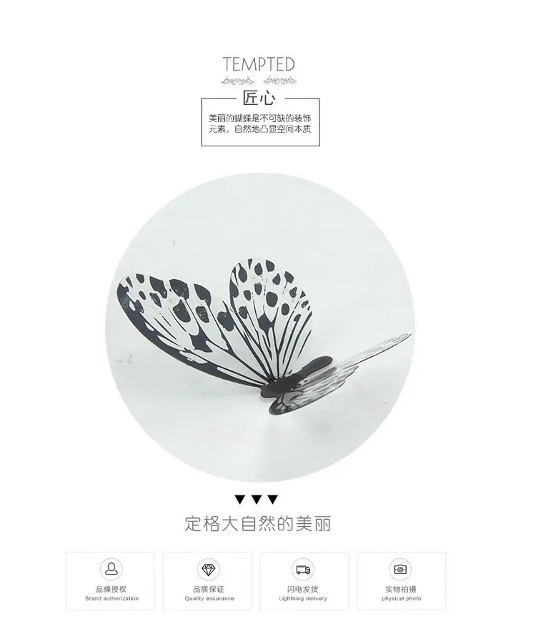 蝴蝶_02.jpg